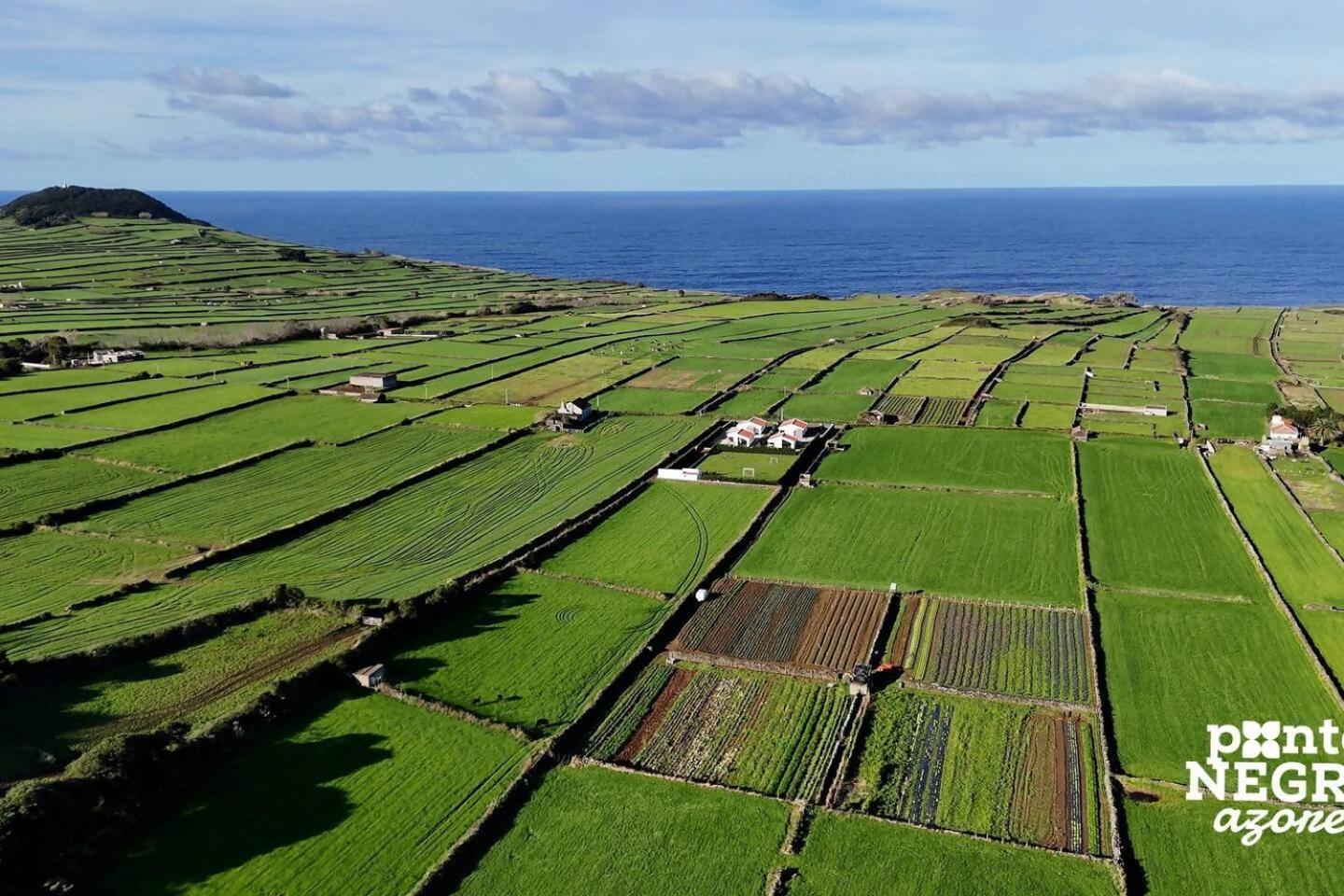 Wine House By Ponta Negra Azores Altares Ngoại thất bức ảnh